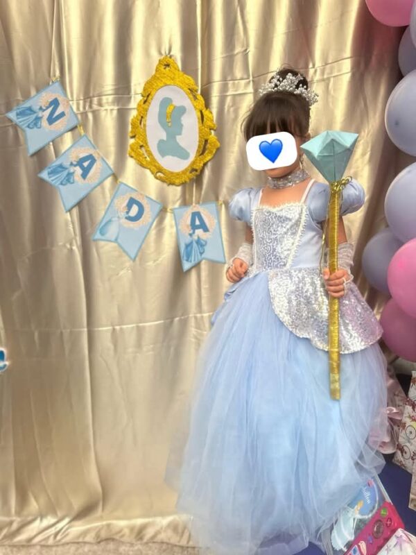 36d8a305-ae53-4c68-95a8-19988bd88870-2 Cendrillon Princesse