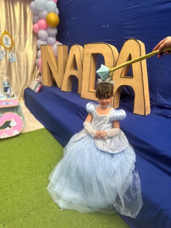 5310d15b-3628-4421-ad0e-a93cce8475b3-2 Cendrillon Princesse